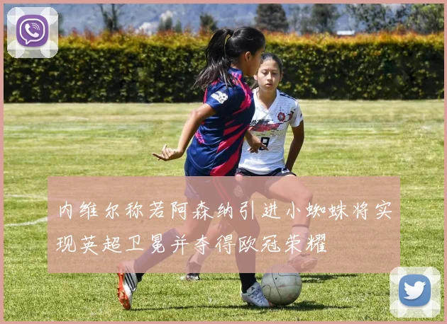 内维尔称若阿森纳引进小蜘蛛将实现英超卫冕并夺得欧冠荣耀