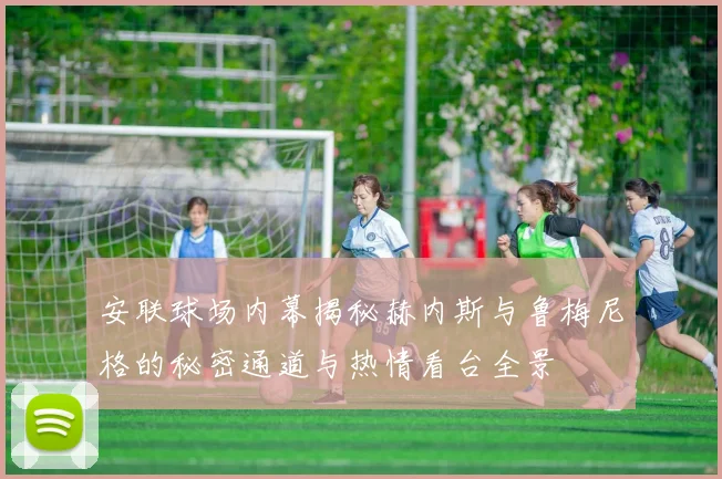 安联球场内幕揭秘赫内斯与鲁梅尼格的秘密通道与热情看台全景
