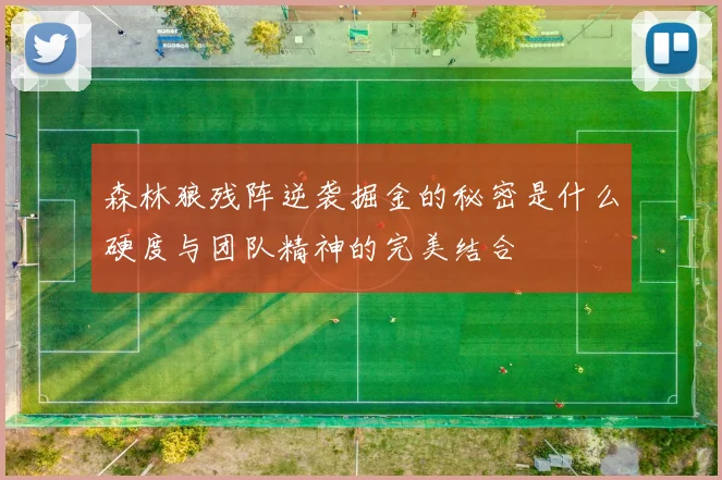 森林狼残阵逆袭掘金的秘密是什么硬度与团队精神的完美结合