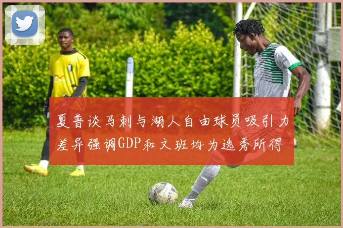 夏普谈马刺与湖人自由球员吸引力差异强调GDP和文班均为选秀所得