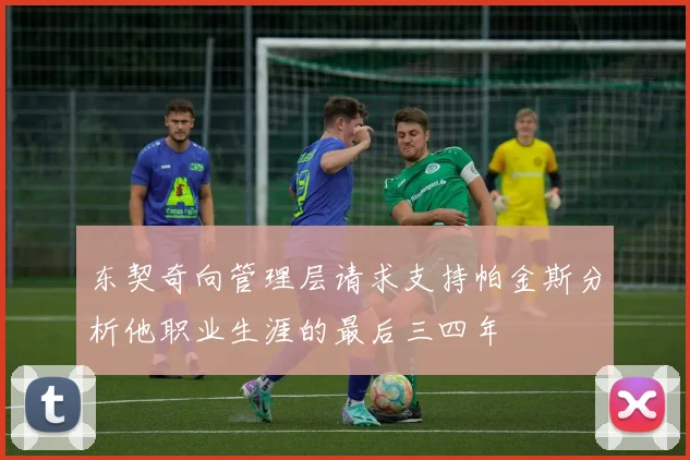 东契奇向管理层请求支持帕金斯分析他职业生涯的最后三四年