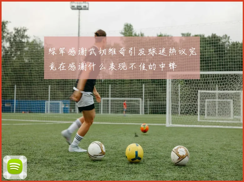 绿军感谢武切维奇引发球迷热议究竟在感谢什么表现不佳的中锋